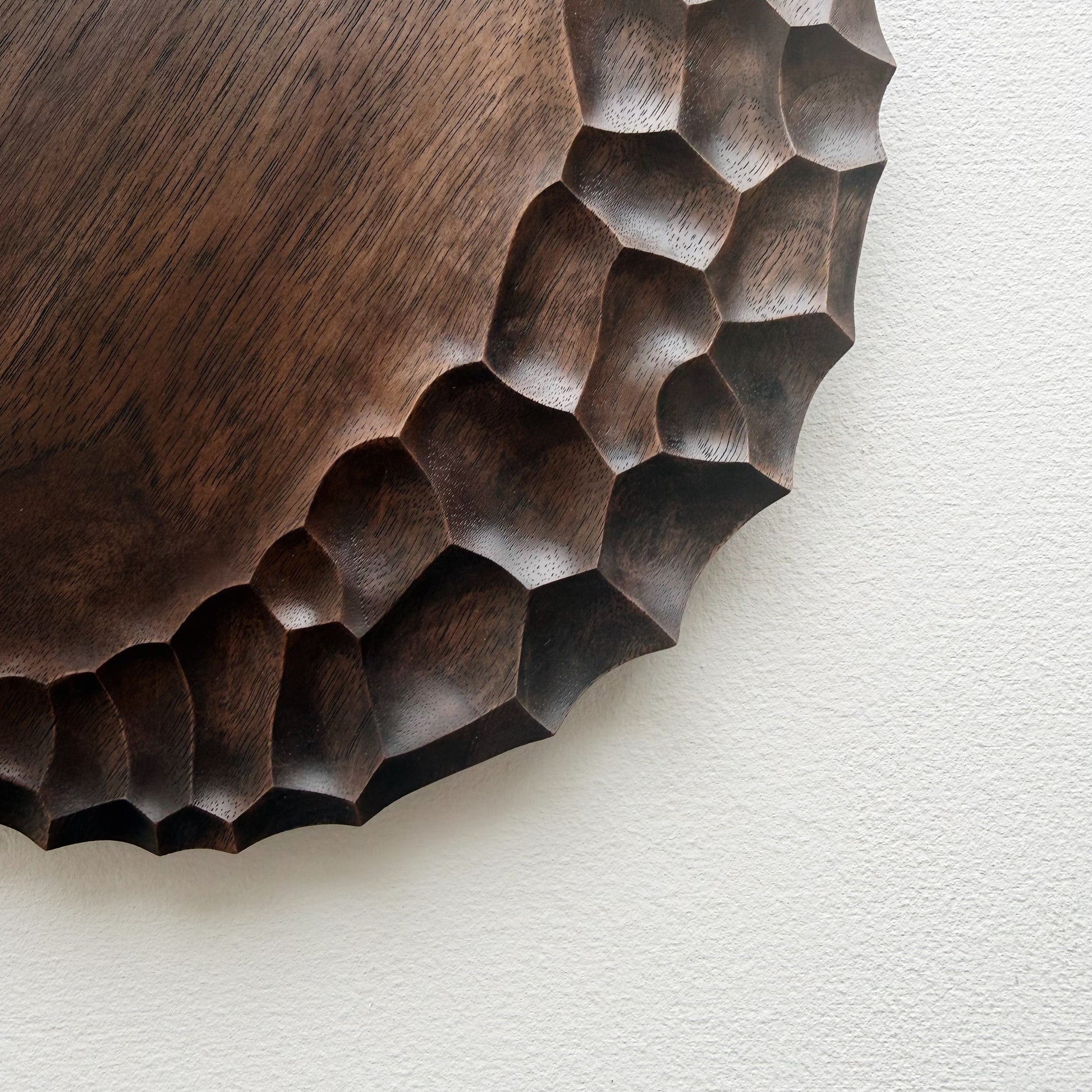 Close up of black walnut coast plate with cratered edge on white background
