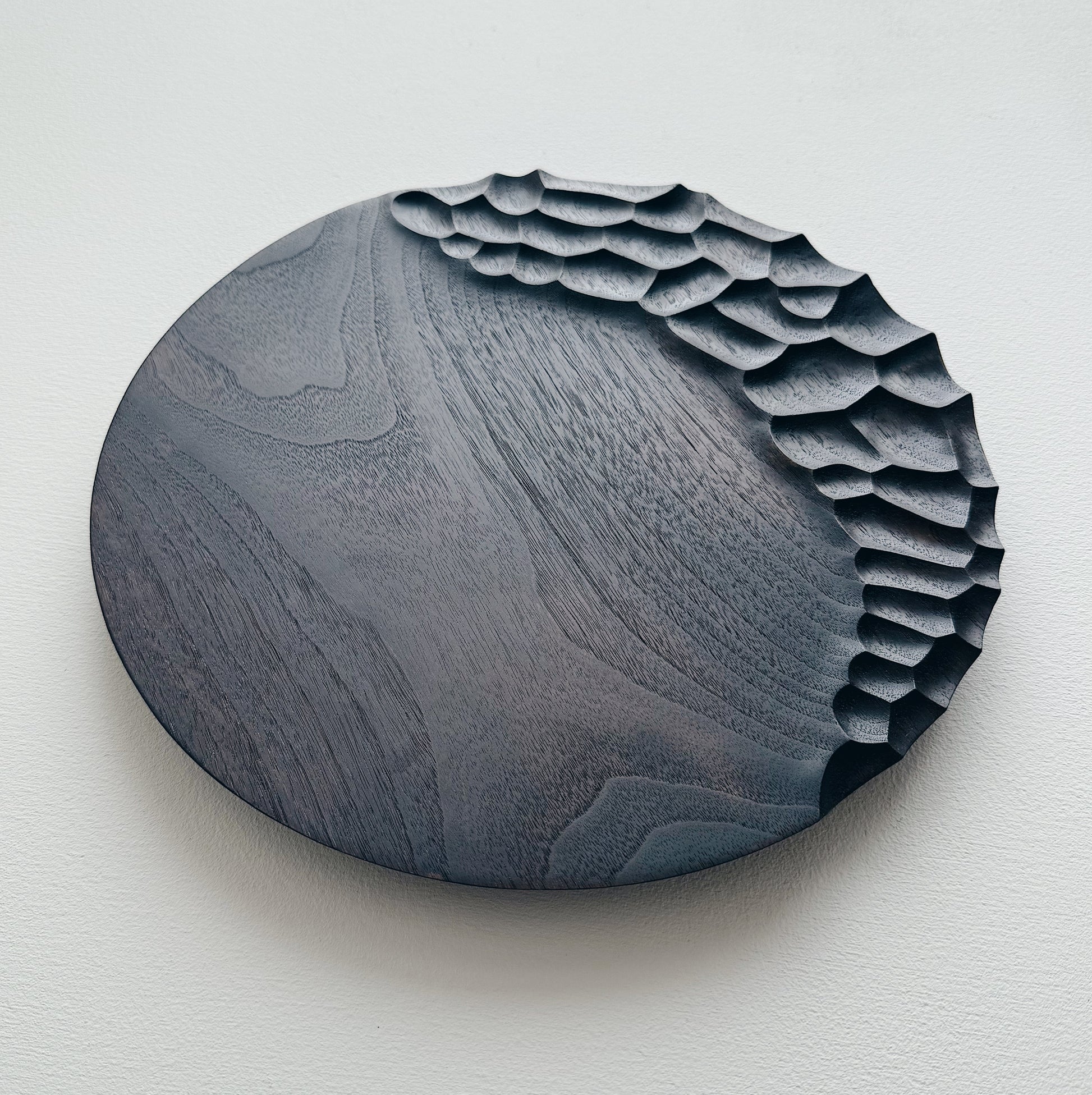 Black walnut presentation plate on white background 
