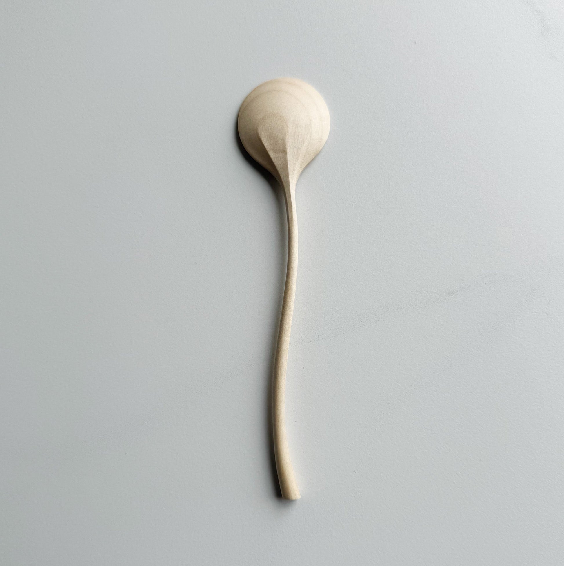 Sycamore curvy spoon on a light background