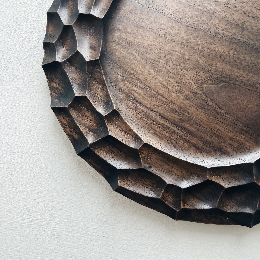 Close up on a walnut plate on a white background