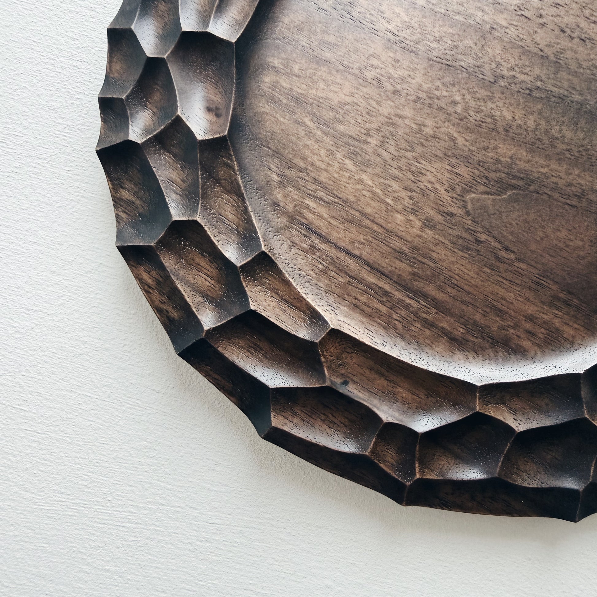 Close up on a walnut plate on a white background