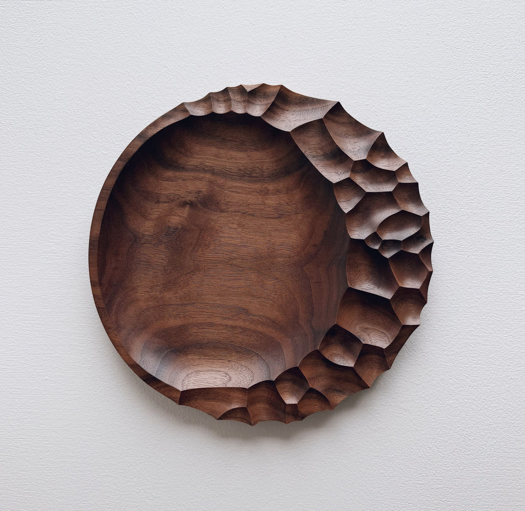 Evolution plate in walnut on a light background