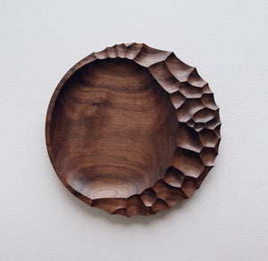Evolution plate in walnut on a light background