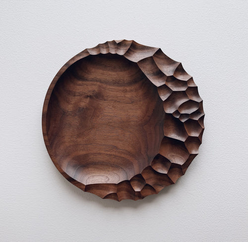 Evolution plate in walnut on a light background