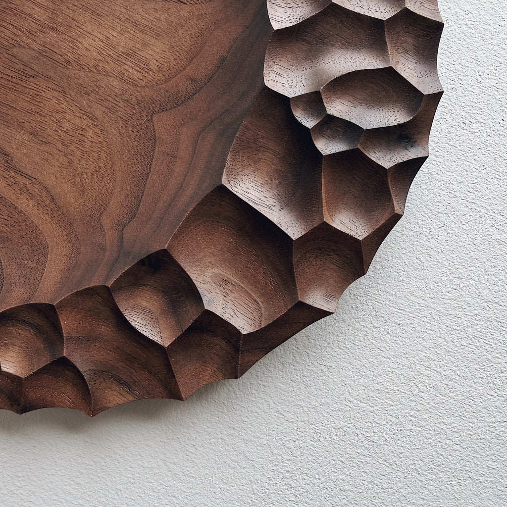 Close up of an evolution plate in walnut on a light background