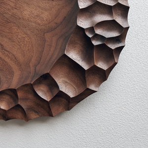 Close up of an evolution plate in walnut on a light background