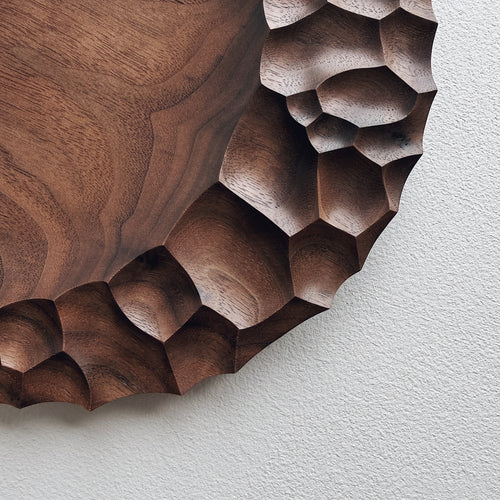 Close up of an evolution plate in walnut on a light background