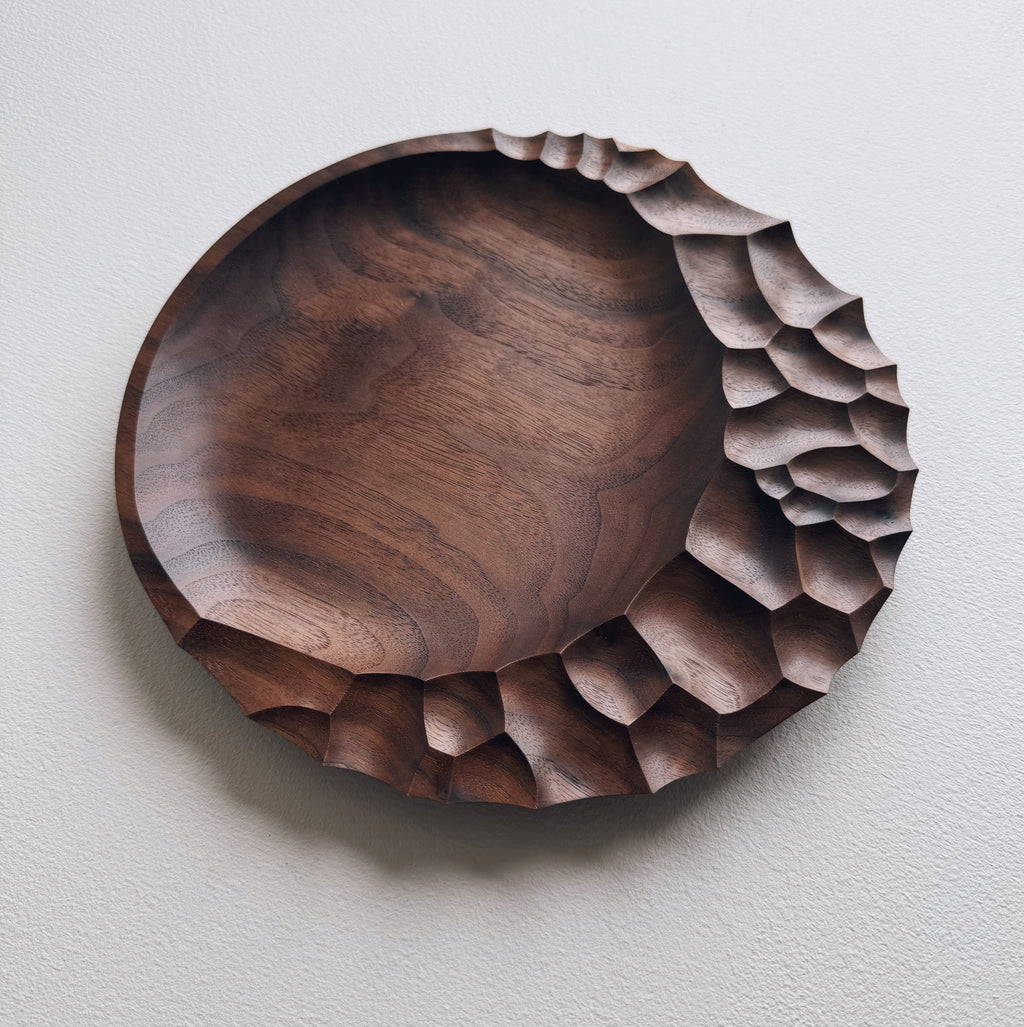 Evolution plate in walnut on a light background