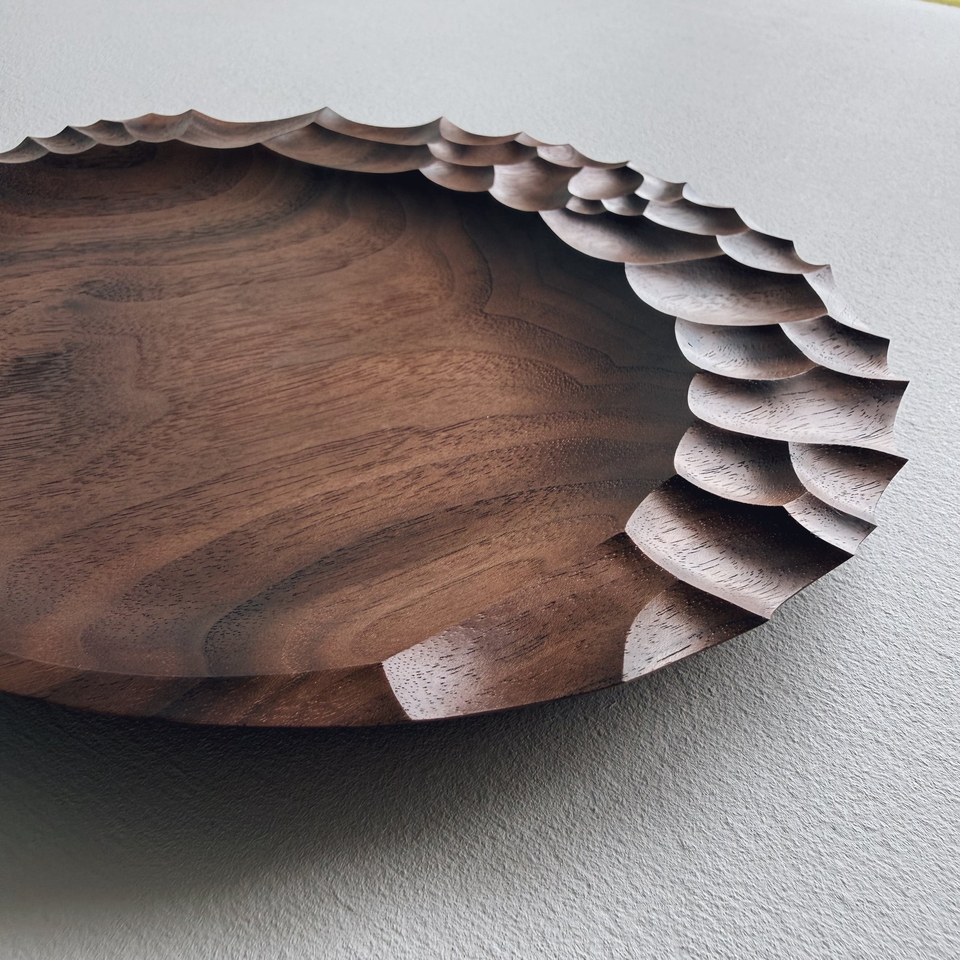 Evolution plate in walnut on a light background