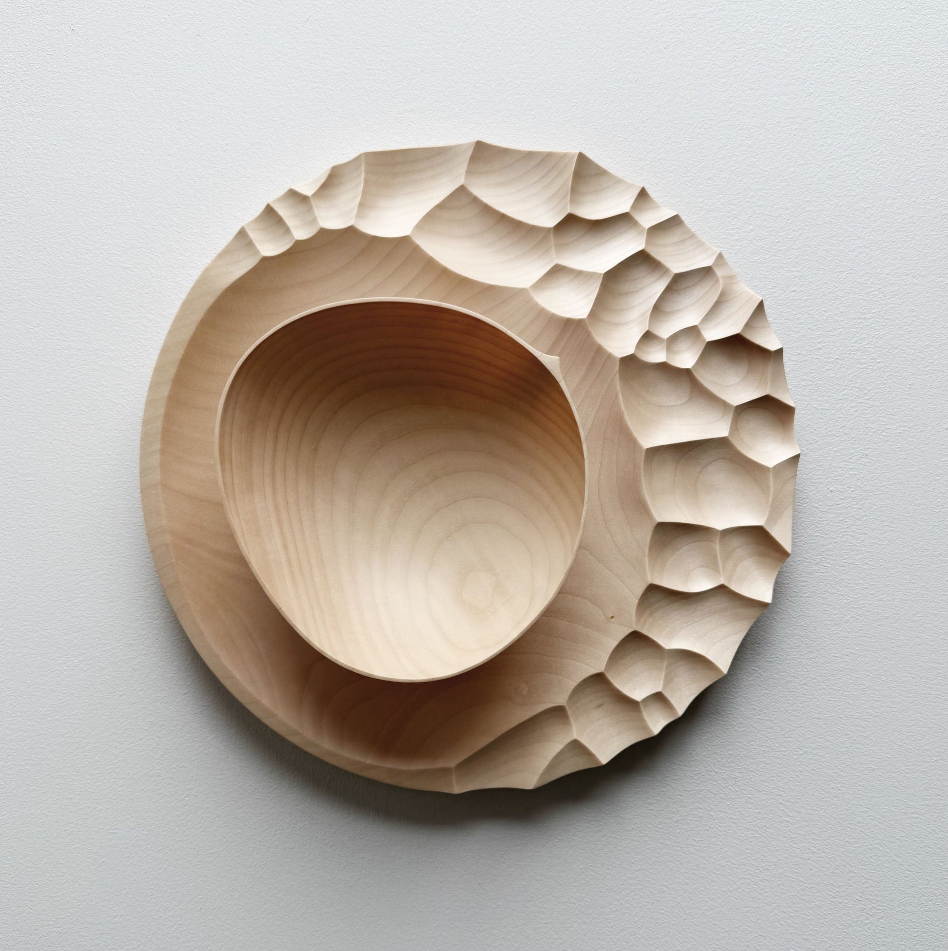 Evolution presentation set in sycamore