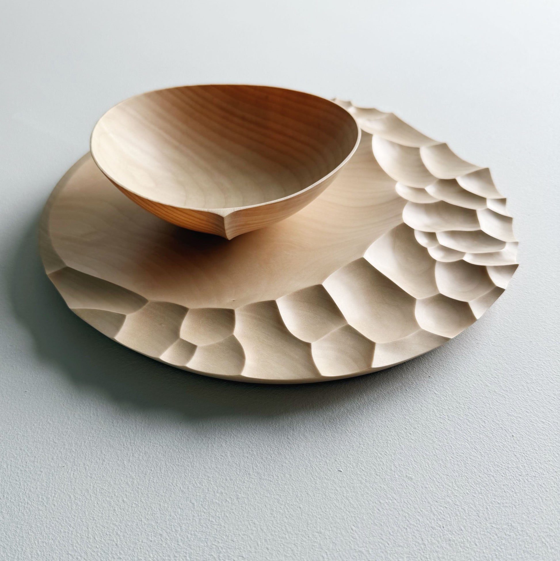 Evolution presentation set in sycamore