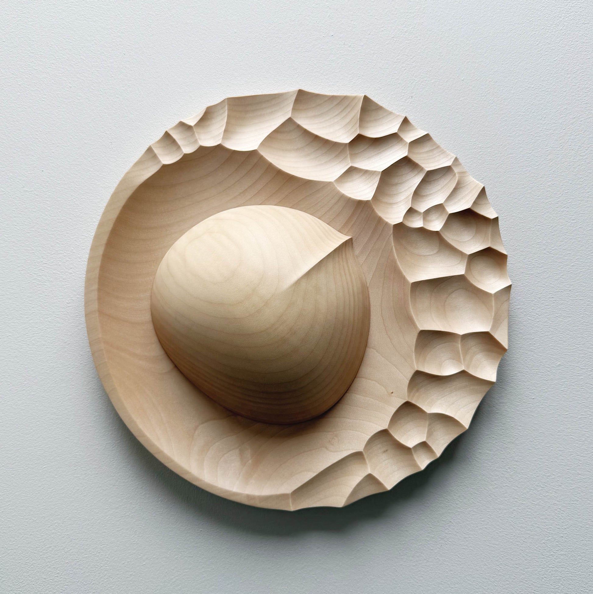Evolution presentation set in sycamore