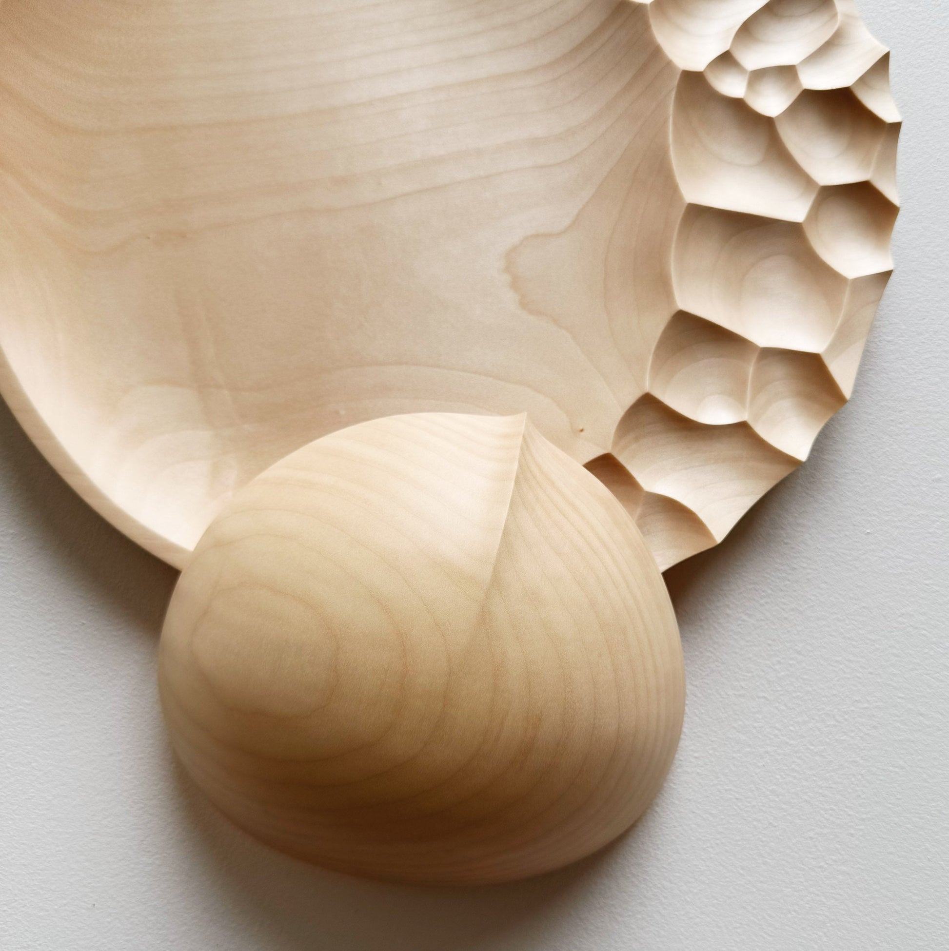 Evolution presentation set in sycamore