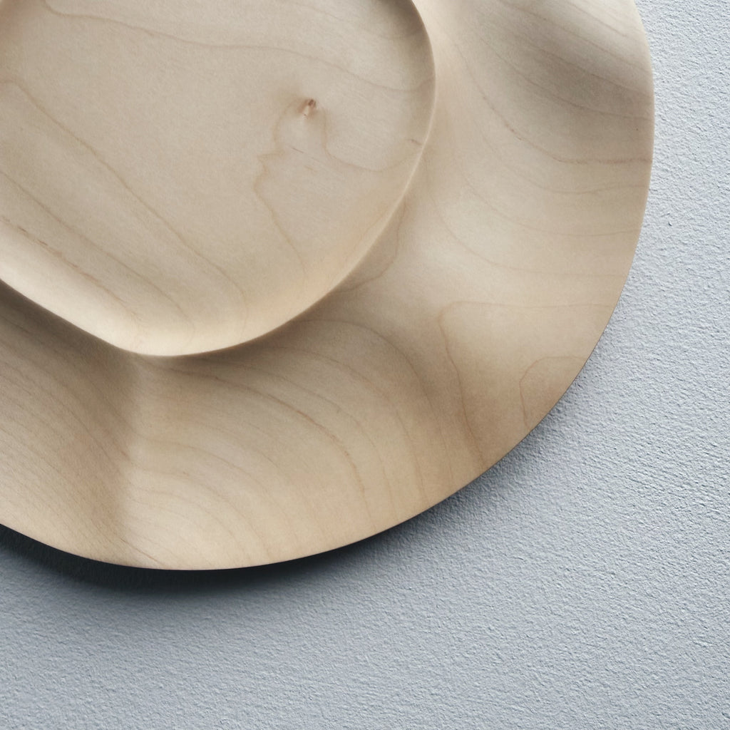 Sycamore plate on a white background