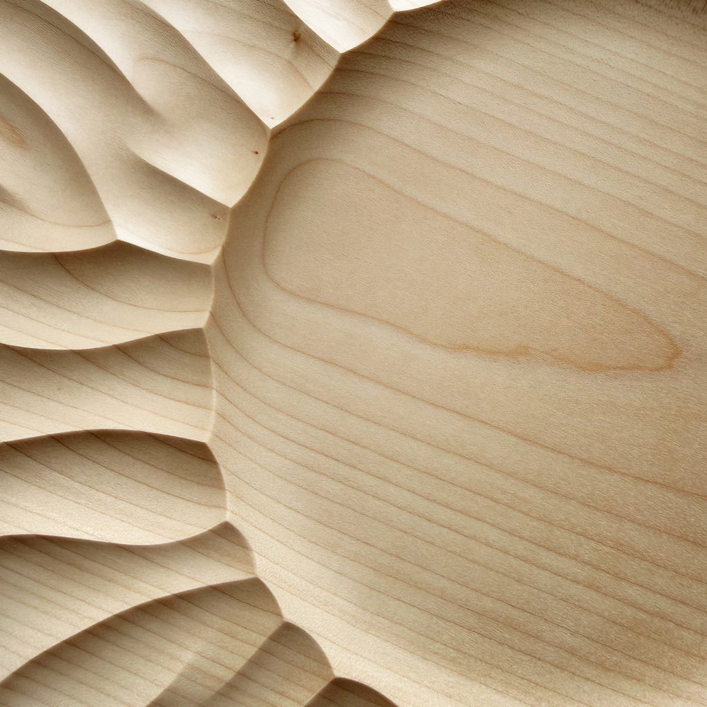 Details of a sycamore wood plate on a white background