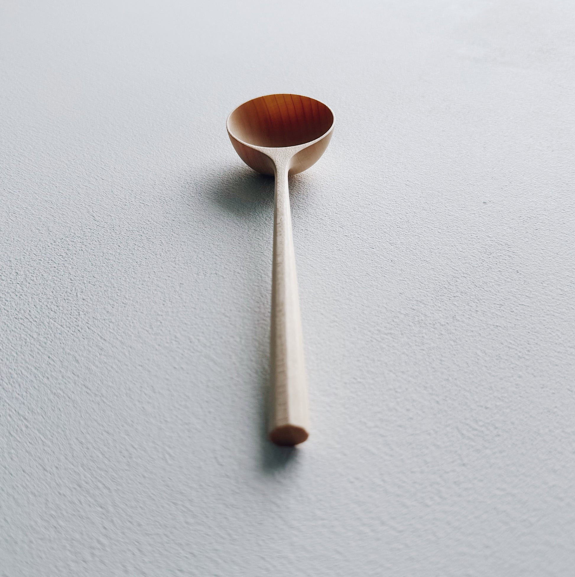 Large scoop in sycamore