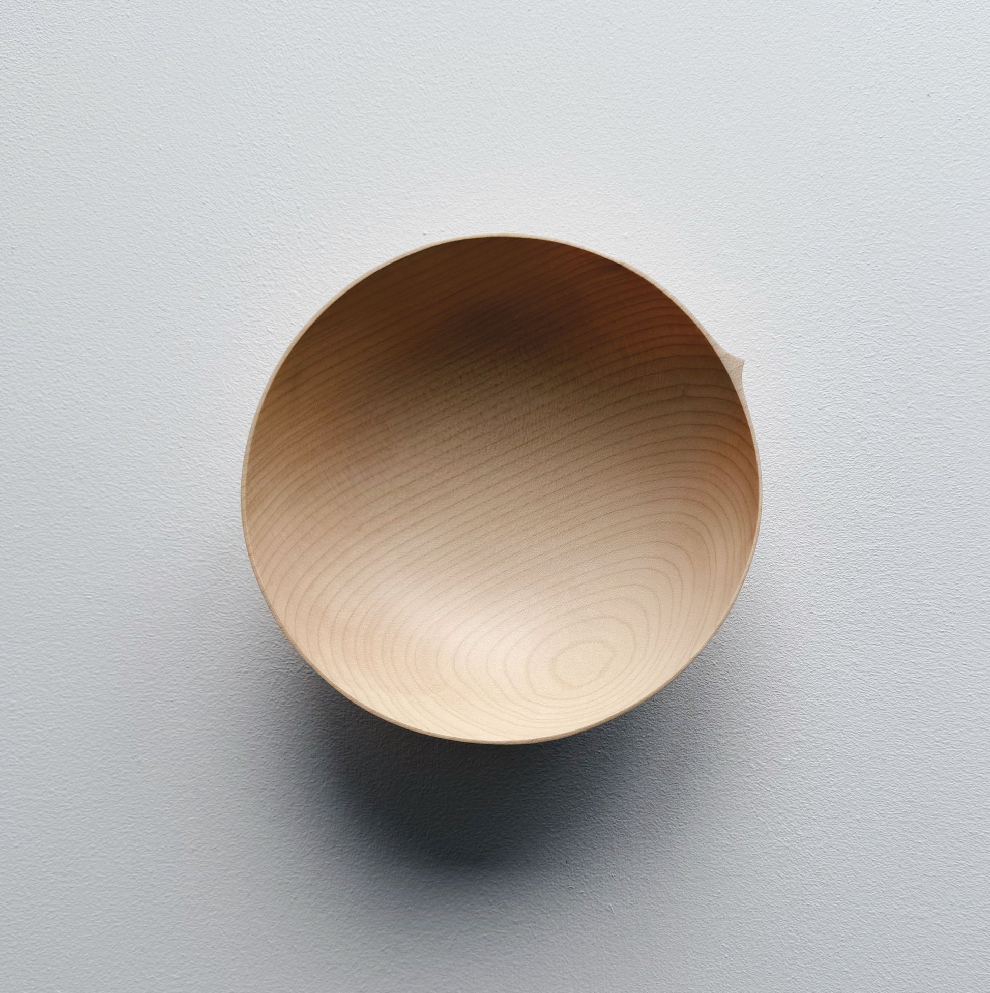 Round palm bowl in sycamore on a white background
