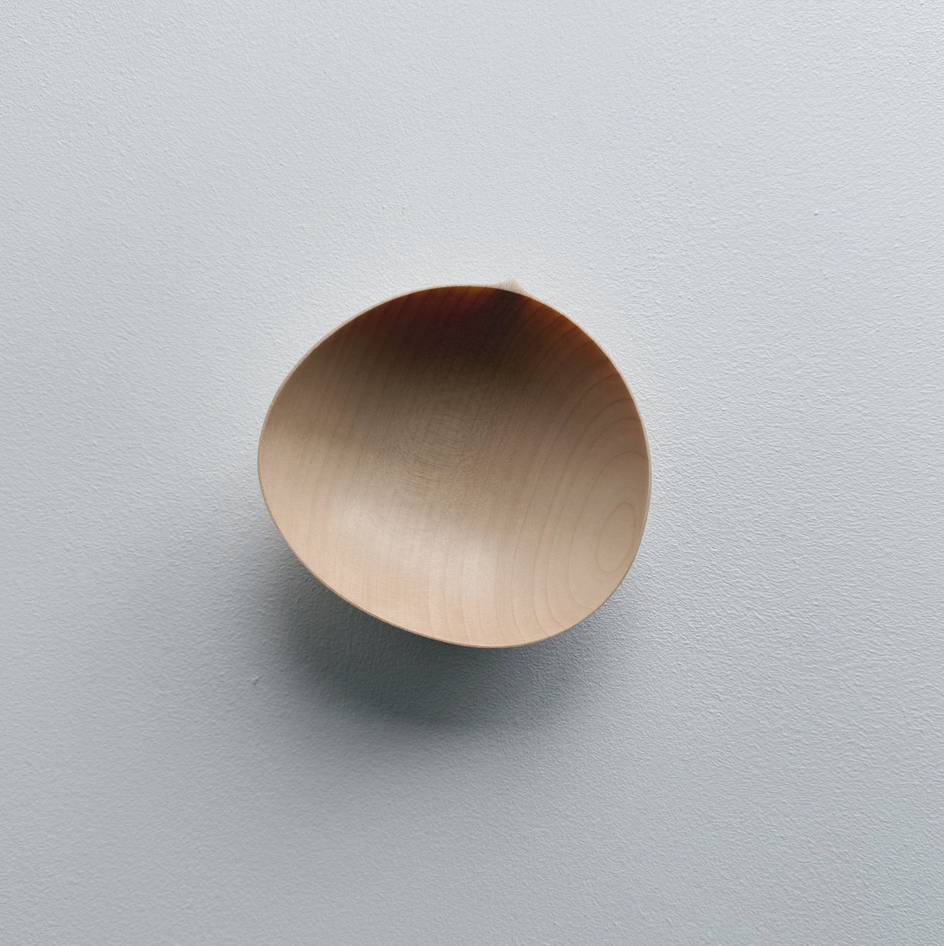 Oval palm bowl in sycamore on a white background