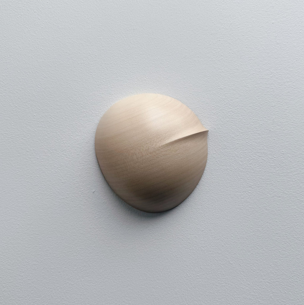 Oval palm bowl in sycamore on a white background
