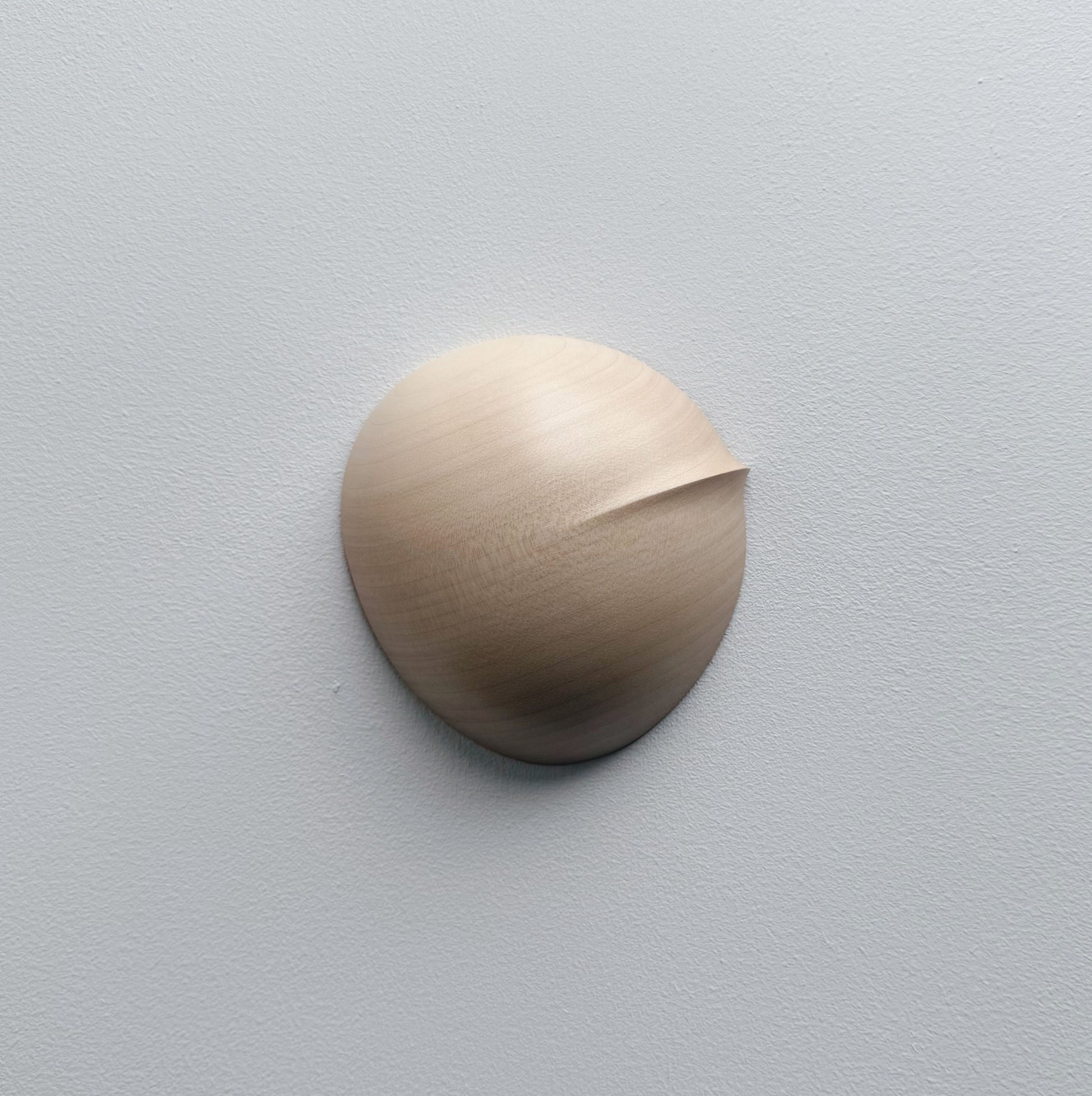 Oval palm bowl in sycamore on a white background
