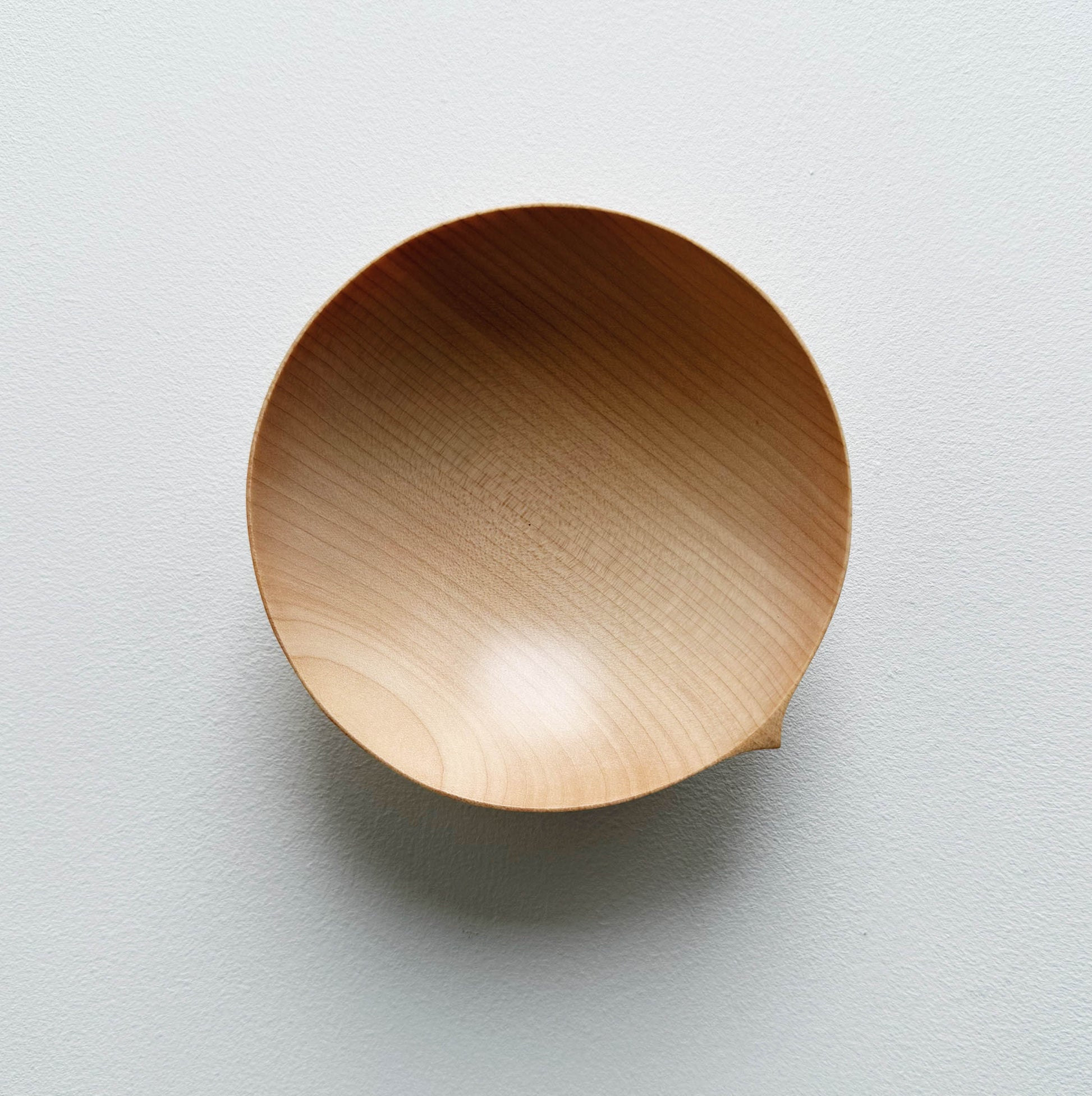 Sycamore wooden bowl on a light background
