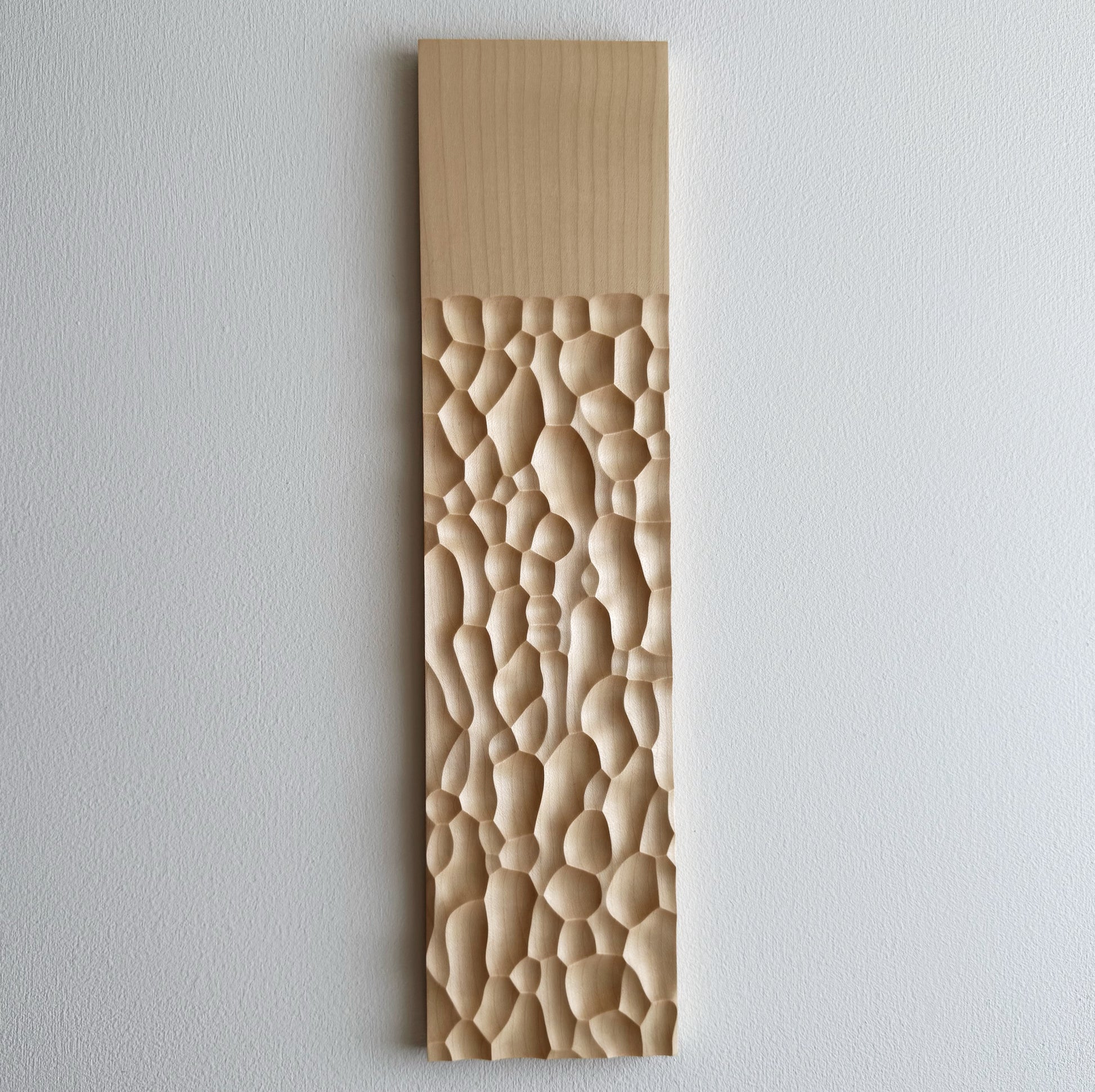 Sculpted long board