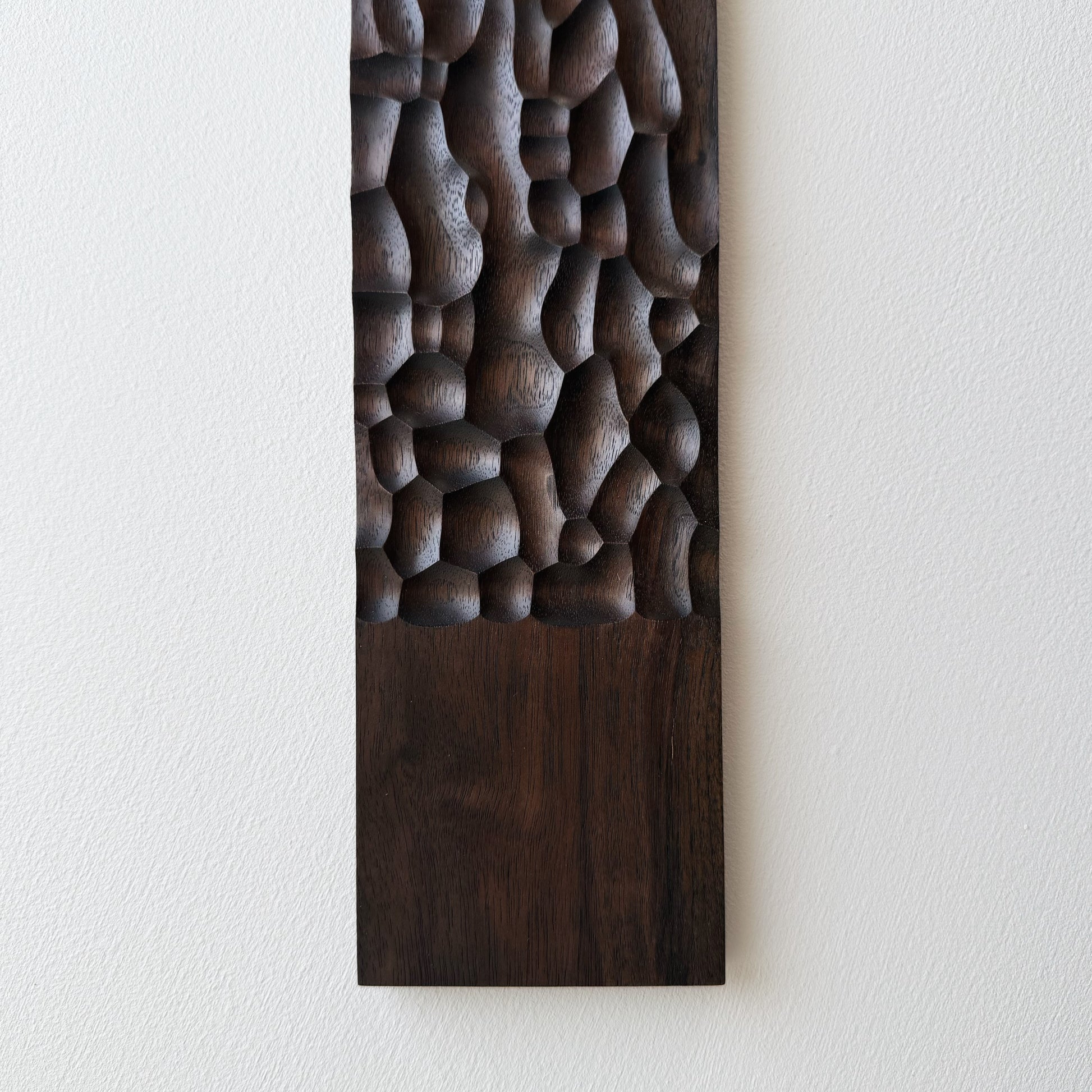 Sculpted long board