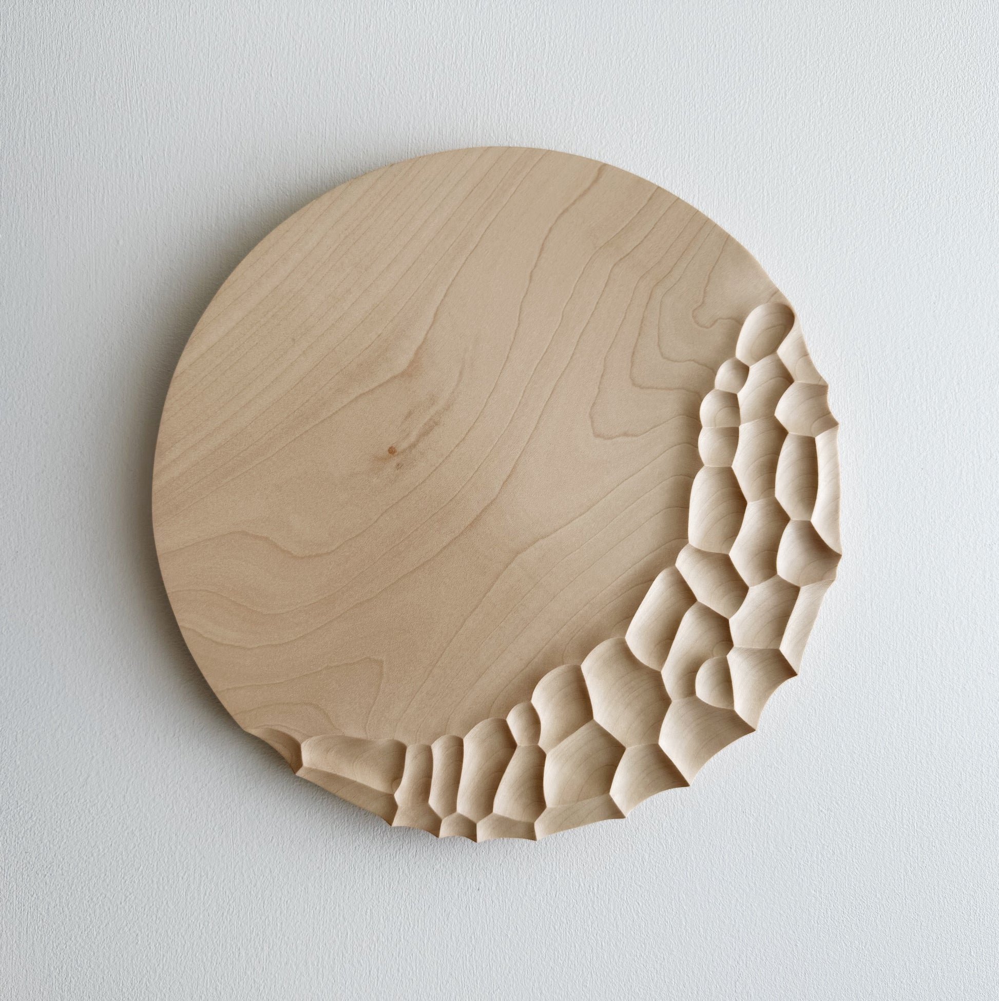 Large coast eating set in sycamore