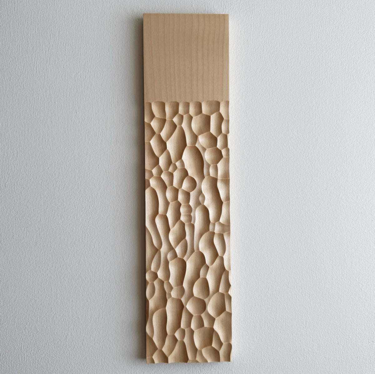 Sculpted long board