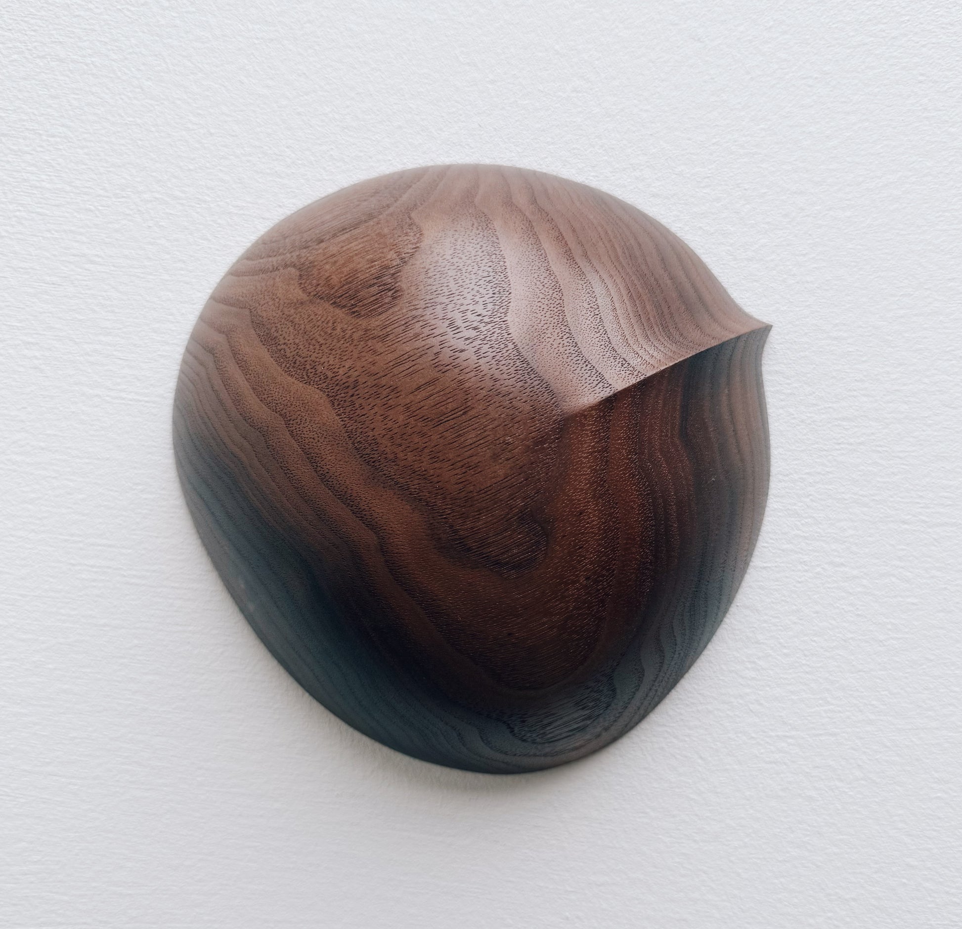 Walnut wood bowl on a light gray background