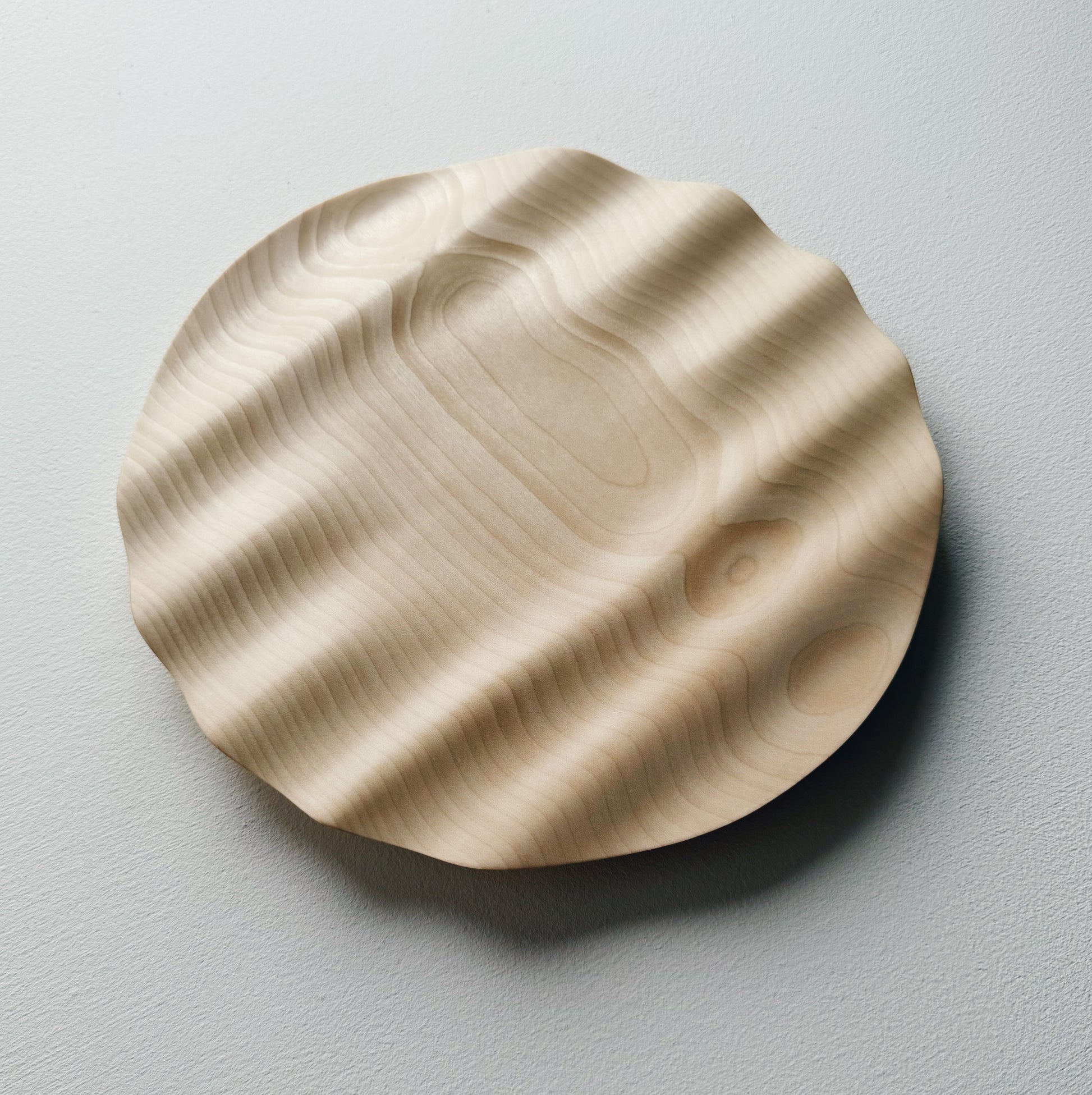 Wavy sycamore plate on a white background 