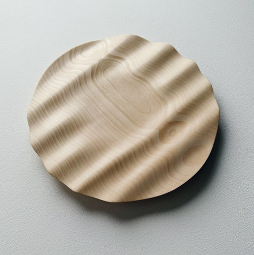 Wavy sycamore plate on a white background 