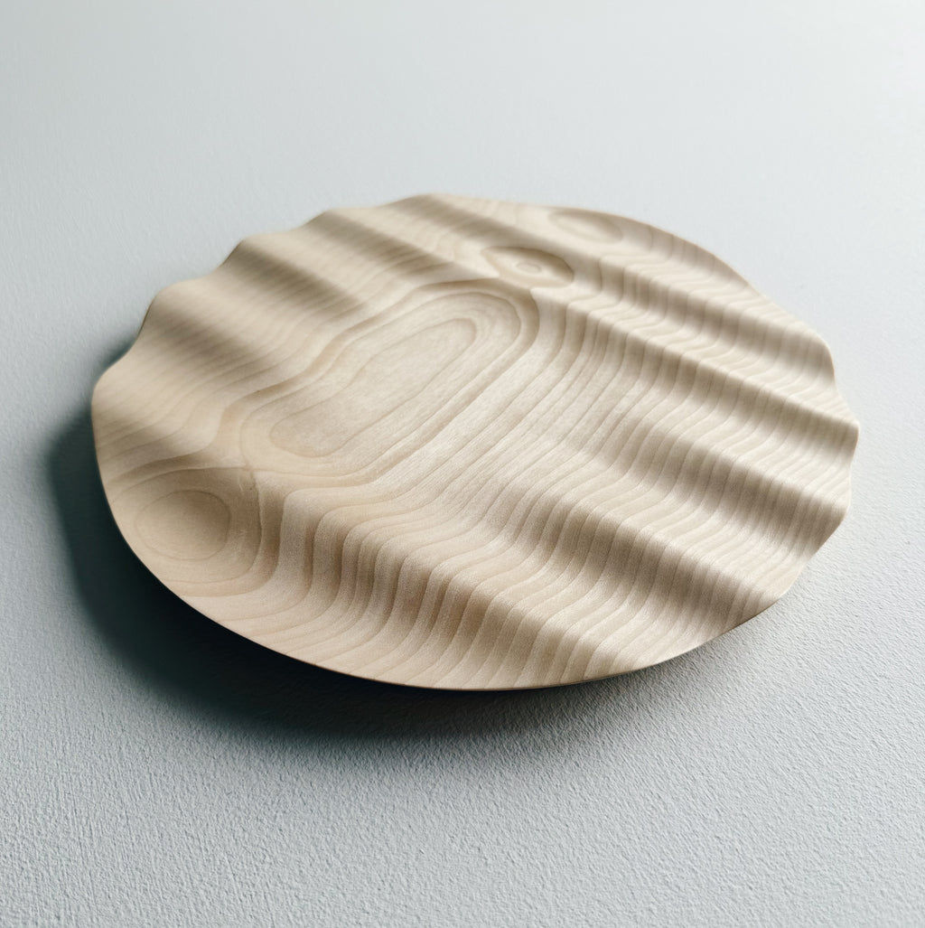 Wavy sycamore plate on a white background 
