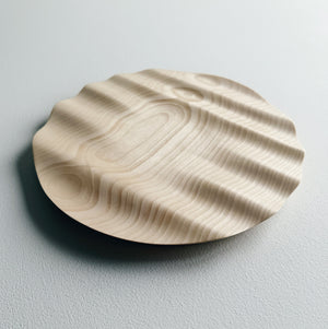 Wavy sycamore plate on a white background 