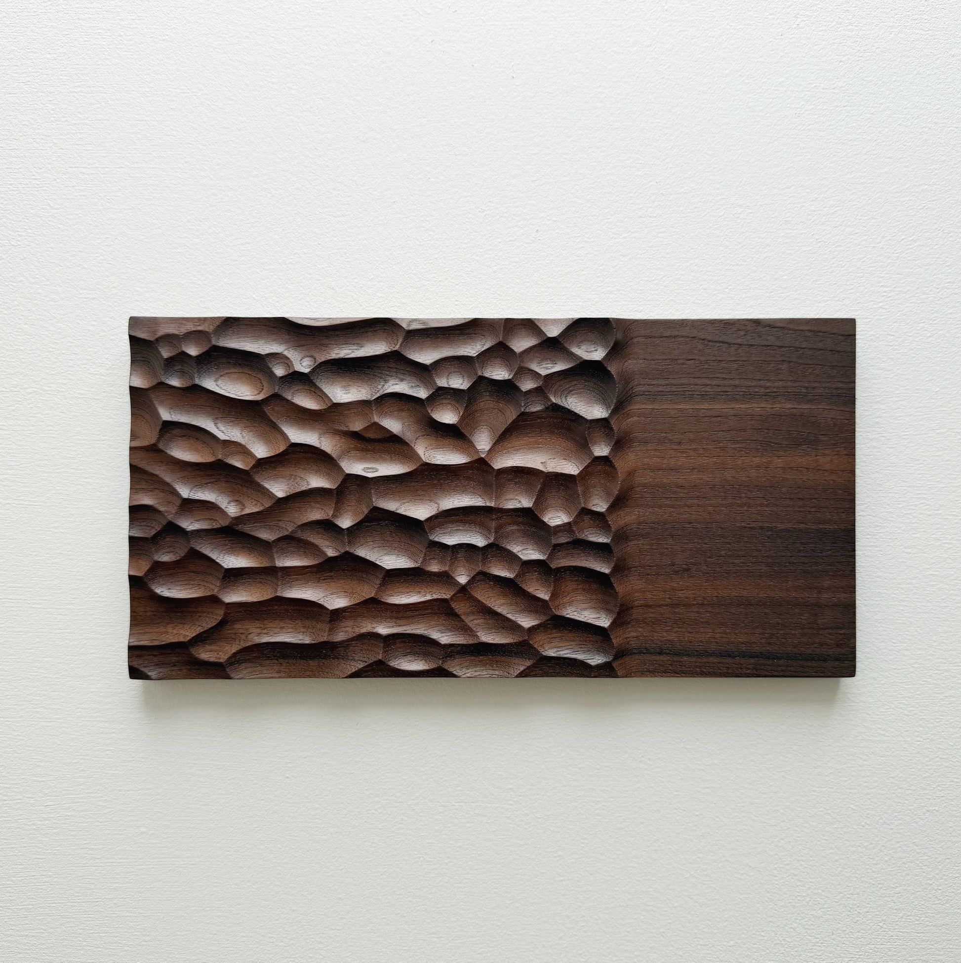 Wide walnut presentation board on a white background