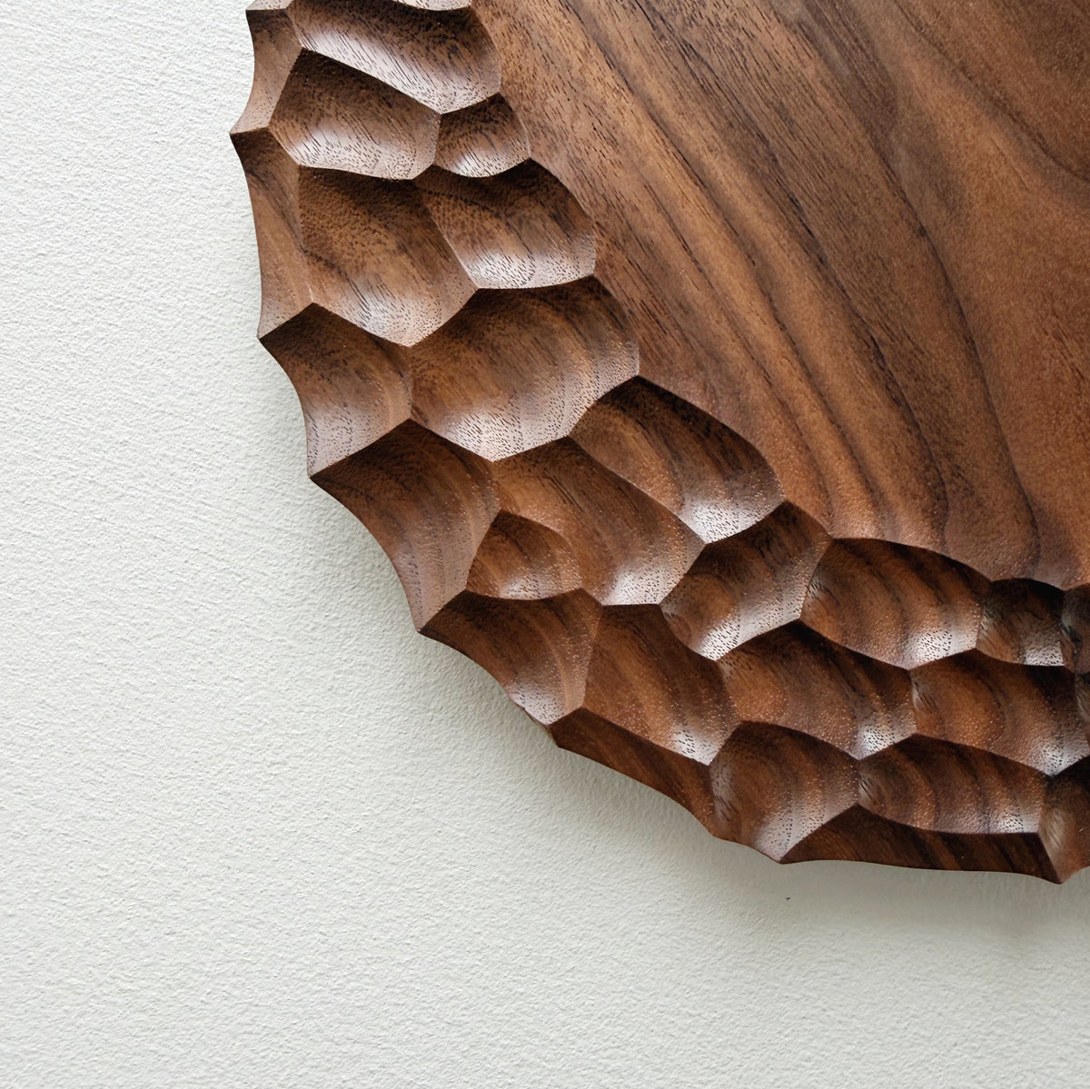 Medium coast plate in tanned walnut